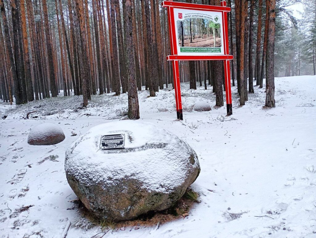 Сестрорецкие болота Сестрорецкие болота