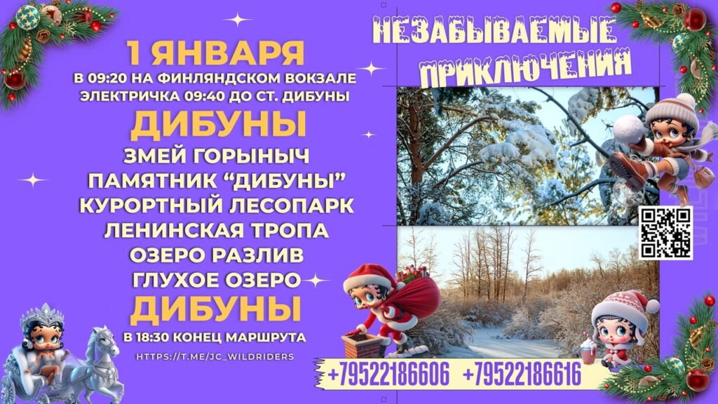 Оъявление группы Wild Riders