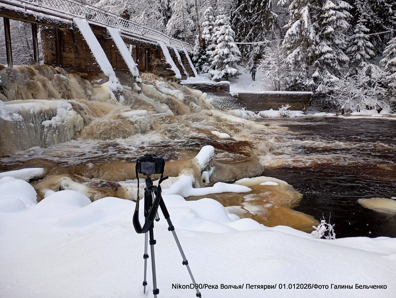 NikonD90